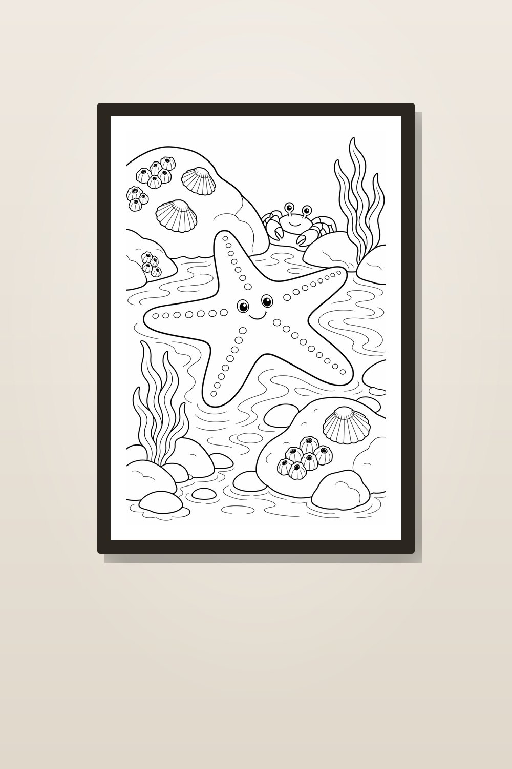 Tide Pool Coloring Pages Printable – Pacific Northwest Intertidal Animals PDF Pack