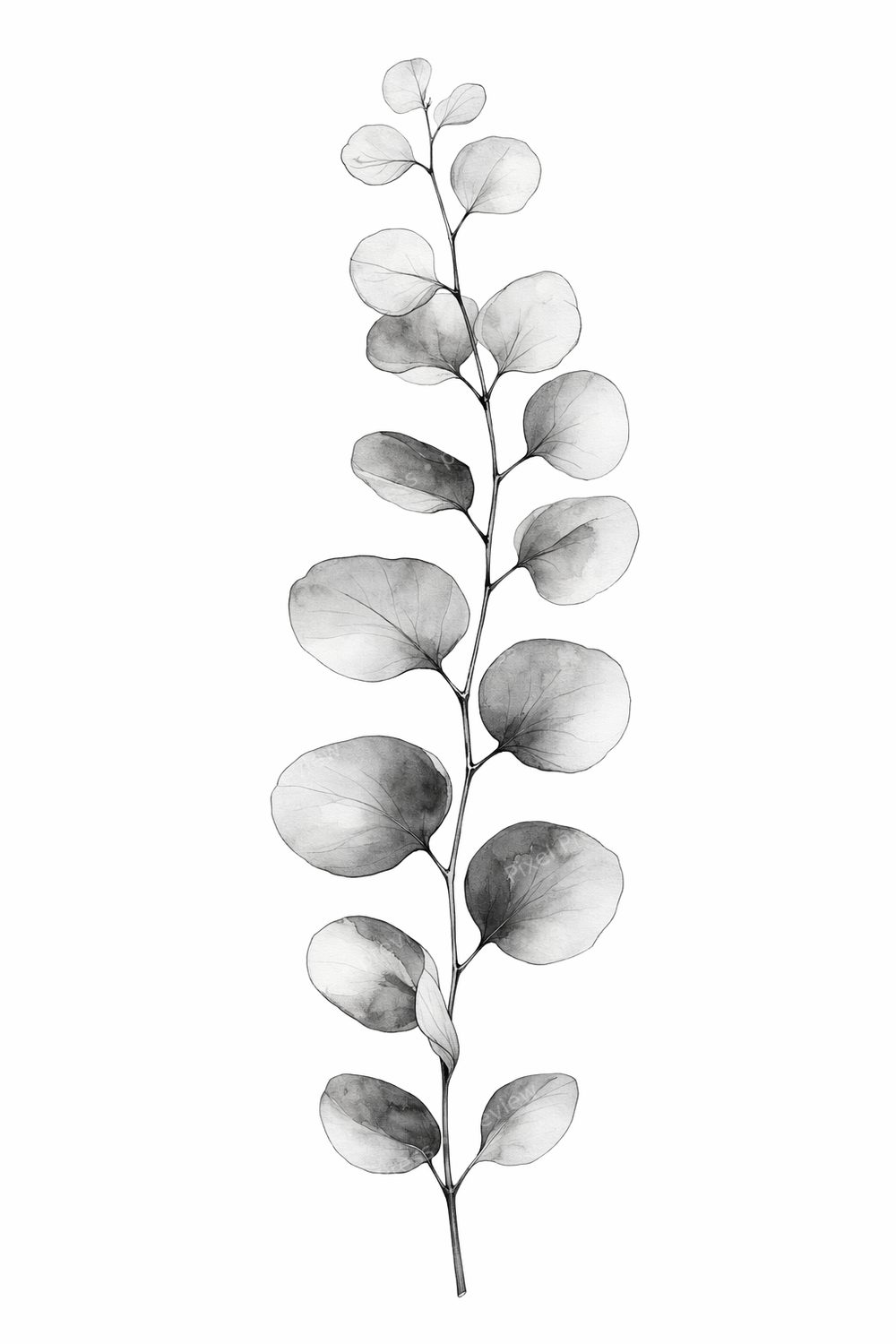 Minimalist Bathroom Wall Art Printable Set, Black and White Botanical Bathroom Wall Art, Modern Neutral Powder Room Decor Bundle — artwork preview (watermarked)