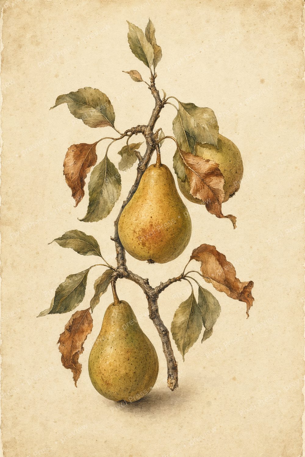 Autumn Pear Kitchen Wall Art Printable Set, Vintage Quince Botanical Prints — artwork preview (watermarked)